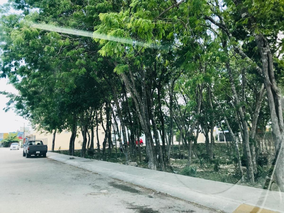 Cozy Tiny Studio Acasadialexplayadelcarmen بلايا ديل كارمن المظهر الخارجي الصورة