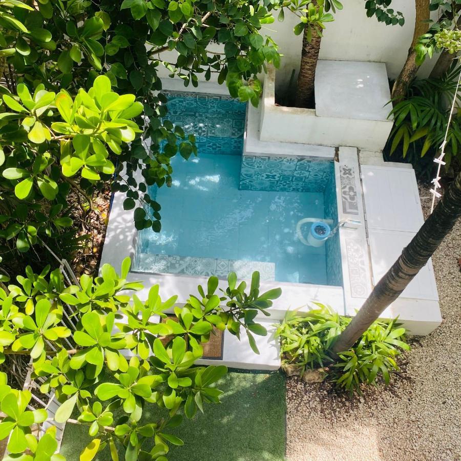 Cozy Tiny Studio Acasadialexplayadelcarmen بلايا ديل كارمن المظهر الخارجي الصورة