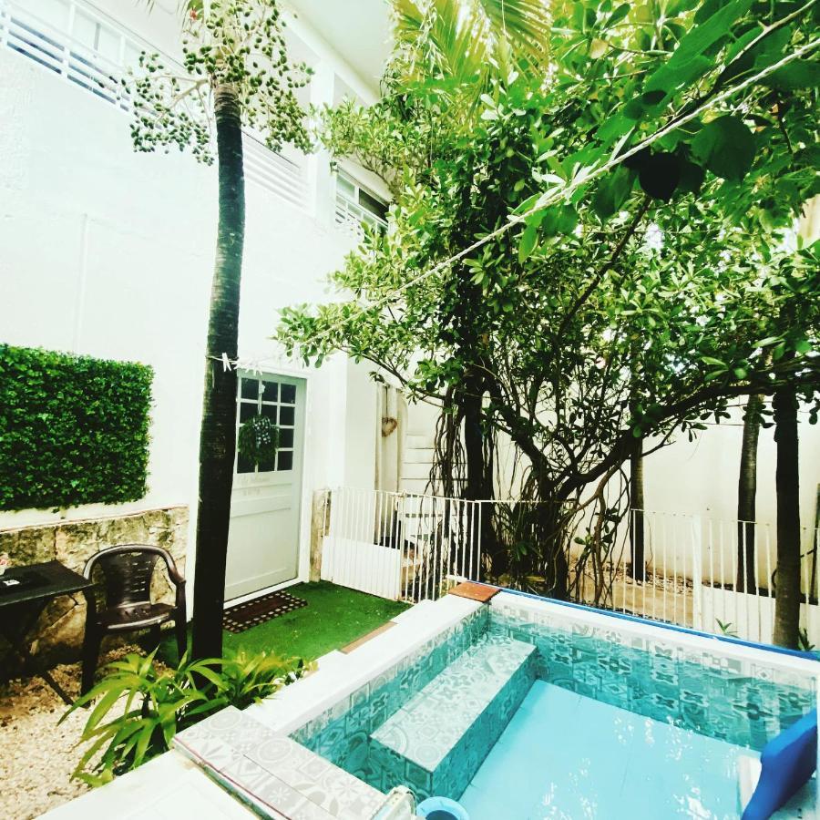 Cozy Tiny Studio Acasadialexplayadelcarmen بلايا ديل كارمن المظهر الخارجي الصورة