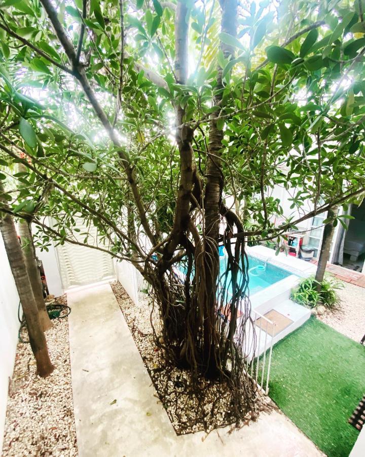 Cozy Tiny Studio Acasadialexplayadelcarmen بلايا ديل كارمن المظهر الخارجي الصورة