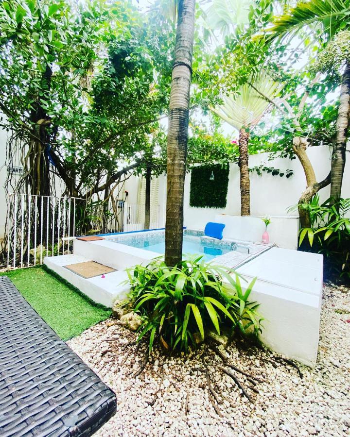 Cozy Tiny Studio Acasadialexplayadelcarmen بلايا ديل كارمن المظهر الخارجي الصورة
