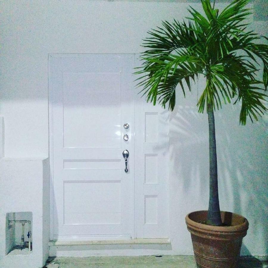 Cozy Tiny Studio Acasadialexplayadelcarmen بلايا ديل كارمن المظهر الخارجي الصورة
